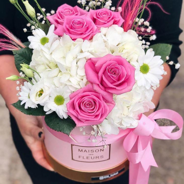 Уникум от 5 410 руб.