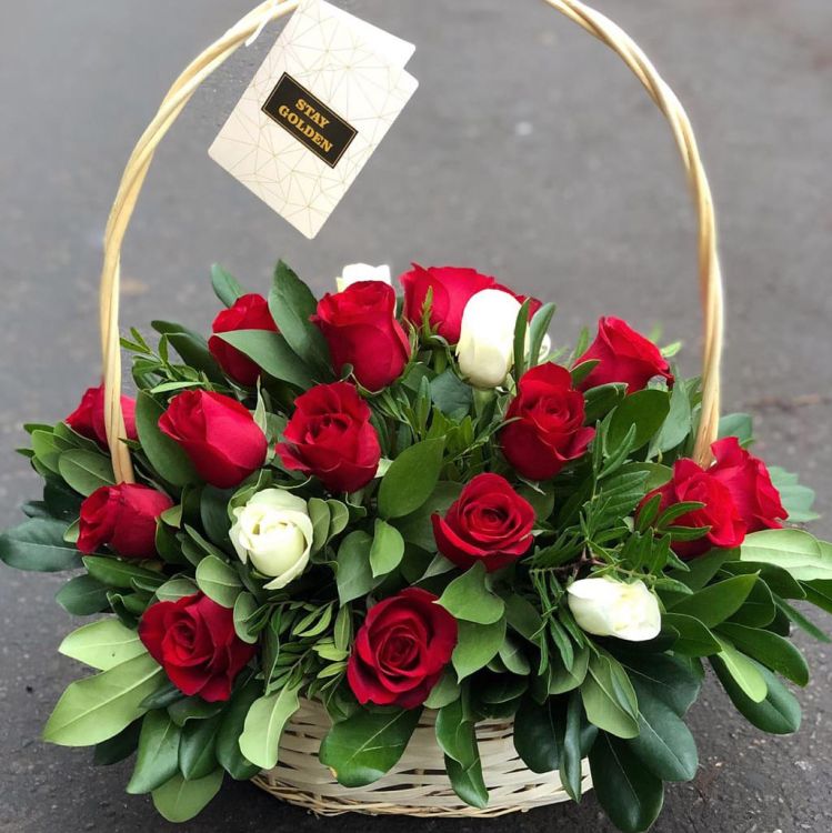 Диво от 5 930 руб.