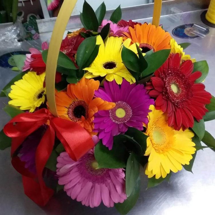 Герберка от 5 400 руб.