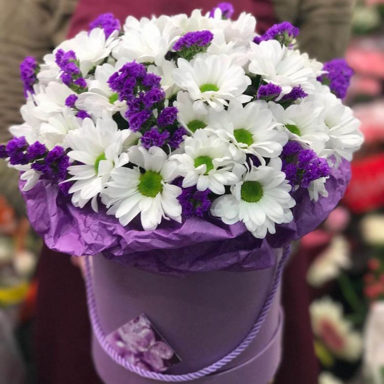 Блеск глаз от 5 690 руб.