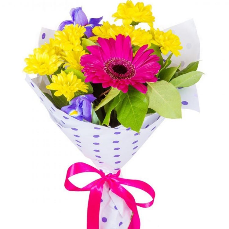 Наши будни от 2 660 руб.