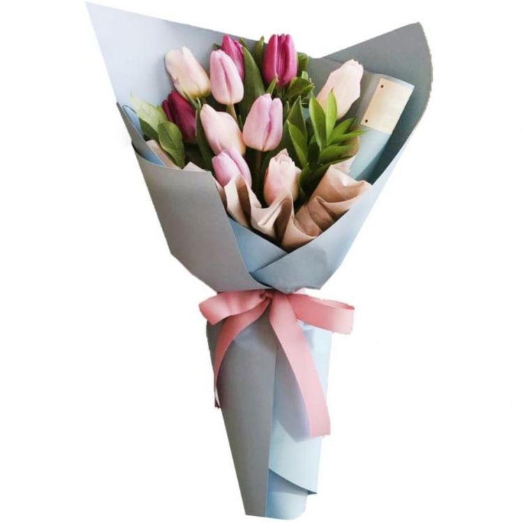 Елена от 2 440 руб.