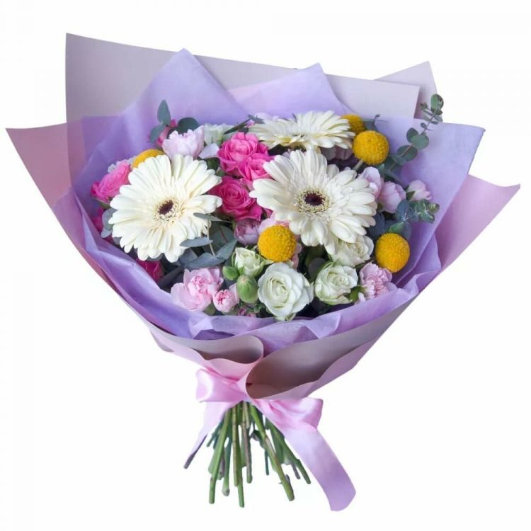 Дружба от 3 300 руб.