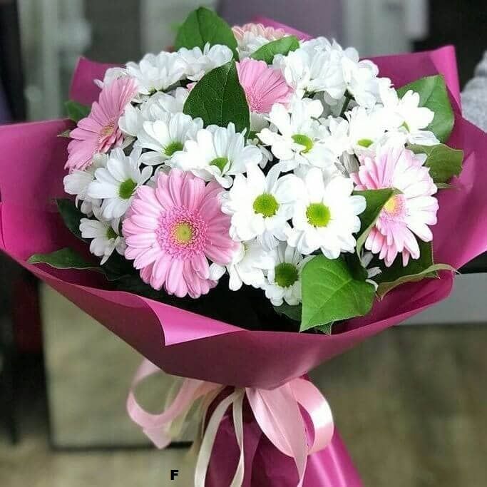 Островок от 2 410 руб.