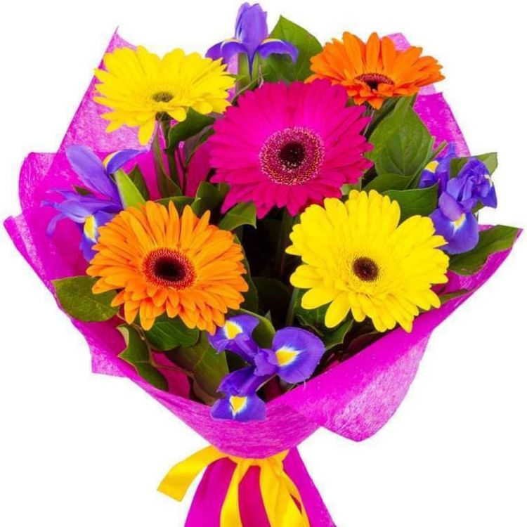 Небосвод от 2 290 руб.