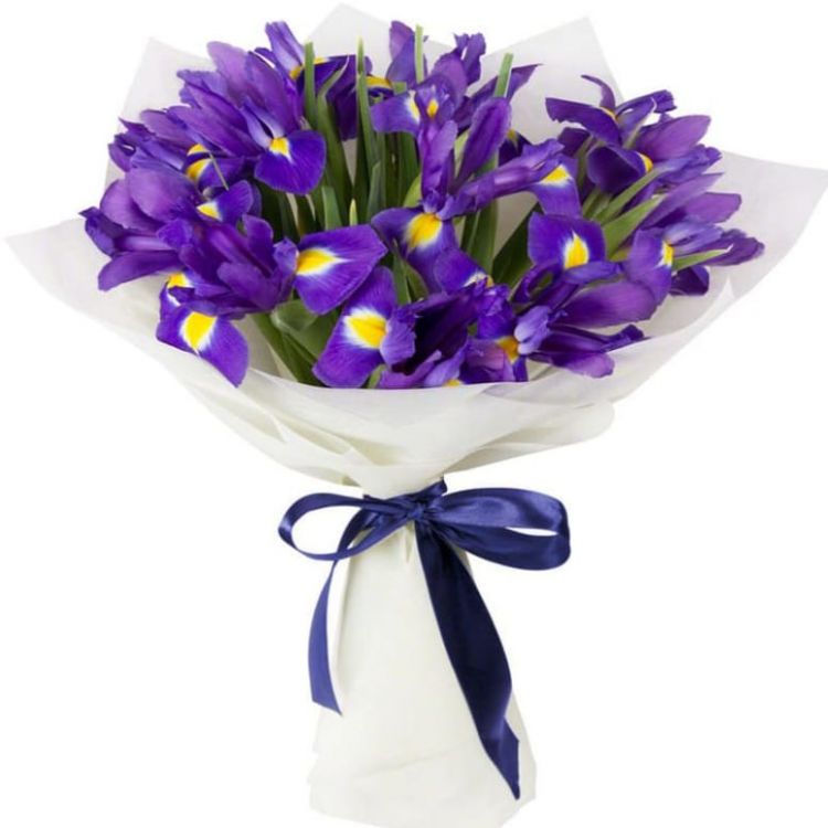 Юла от 2 160 руб.