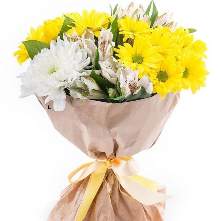 Луч от 2 760 руб.