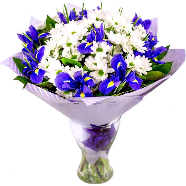 Море от 4 670 руб.