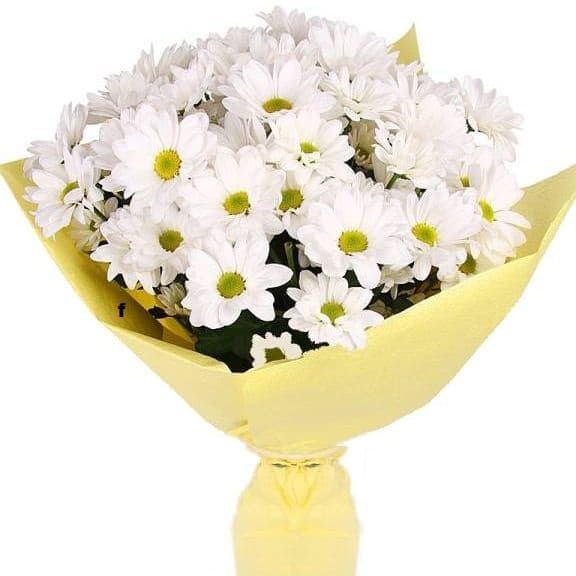 Поле от 2 680 руб.