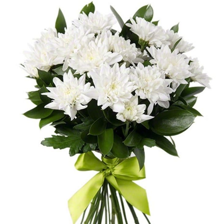 Кстати от 3 010 руб.