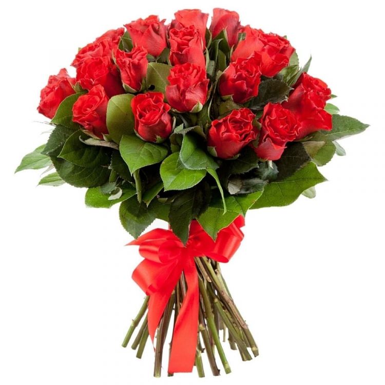 Красных бархат от 3 220 руб.