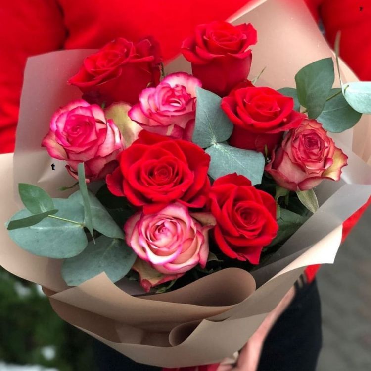 Превосходный от 2 660 руб.