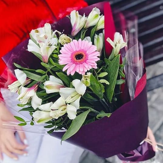 Мир наизнанку от 2 810 руб.